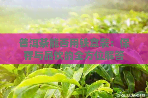 普洱茶能否用铁盒装：保存与品饮的全方位解答