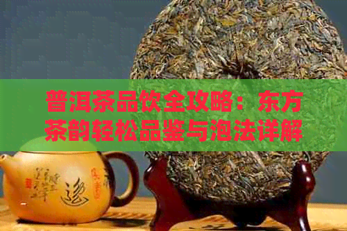 普洱茶品饮全攻略：东方茶韵轻松品鉴与泡法详解