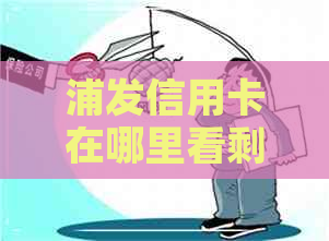 浦发信用卡在哪里看剩余还款