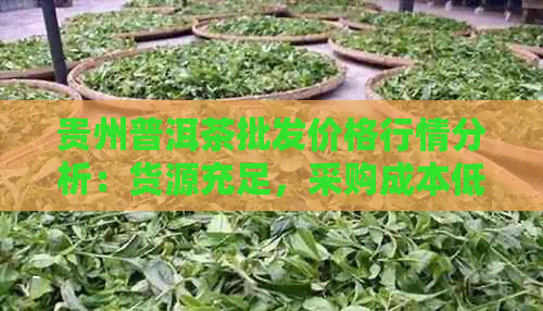 贵州普洱茶批发价格行情分析：货源充足，采购成本低