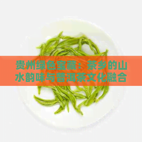 贵州绿色宝藏：茶乡的山水韵味与普洱茶文化融合