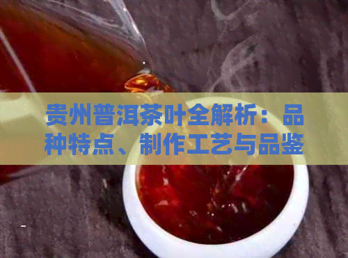 贵州普洱茶叶全解析：品种特点、制作工艺与品鉴方法一文搞定！
