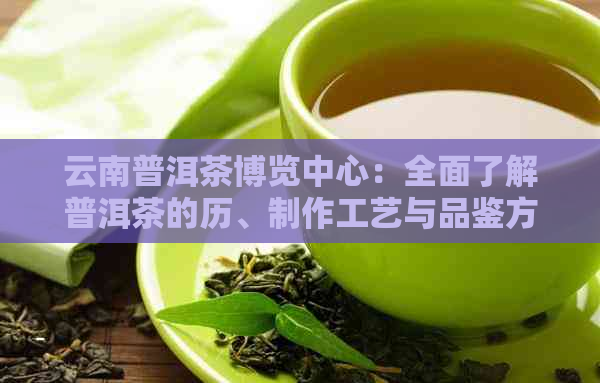 云南普洱茶博览中心：全面了解普洱茶的历、制作工艺与品鉴方法