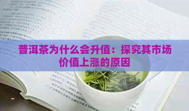 普洱茶为什么会升值：探究其市场价值上涨的原因