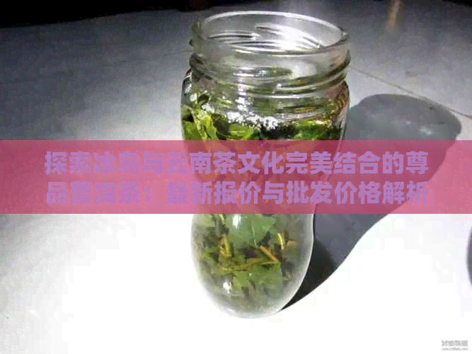 探索冰岛与云南茶文化完美结合的尊品普洱茶：最新报价与批发价格解析