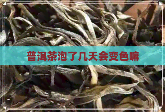 普洱茶泡了几天会变色嘛