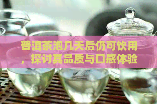 普洱茶泡几天后仍可饮用，探讨其品质与口感体验