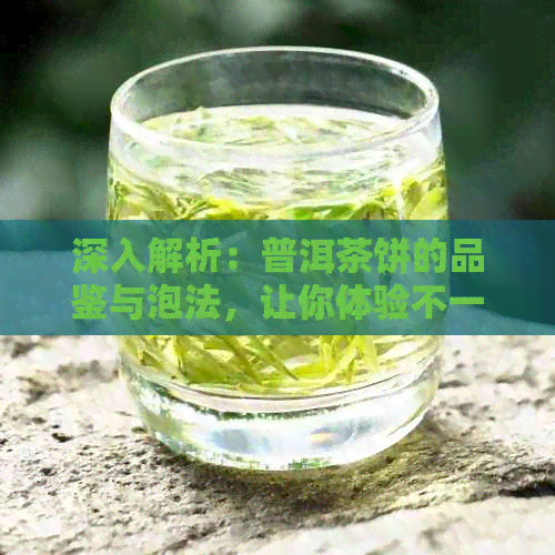 深入解析：普洱茶饼的品鉴与泡法，让你体验不一样的普洱茶文化