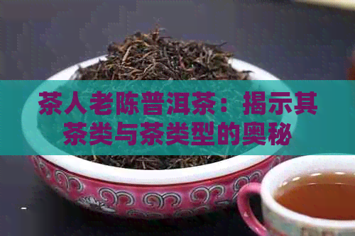 茶人老陈普洱茶：揭示其茶类与茶类型的奥秘