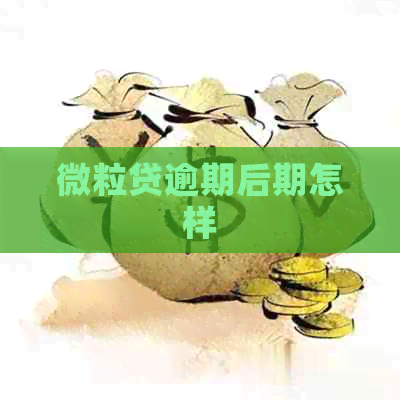 微粒贷逾期后期怎样