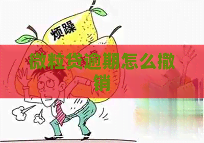 微粒贷逾期怎么撤销