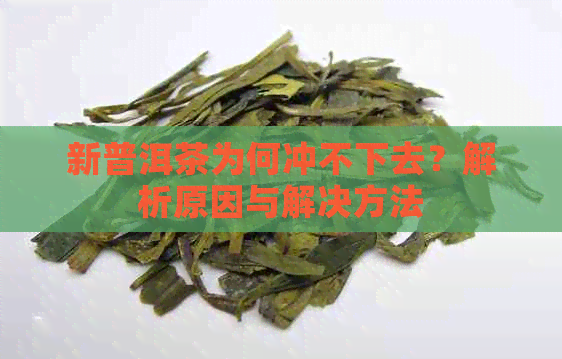 新普洱茶为何冲不下去？解析原因与解决方法