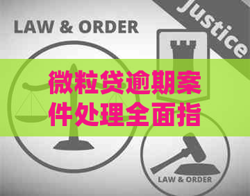 微粒贷逾期案件处理全面指南：如何避免逾期、应对和解决法律问题