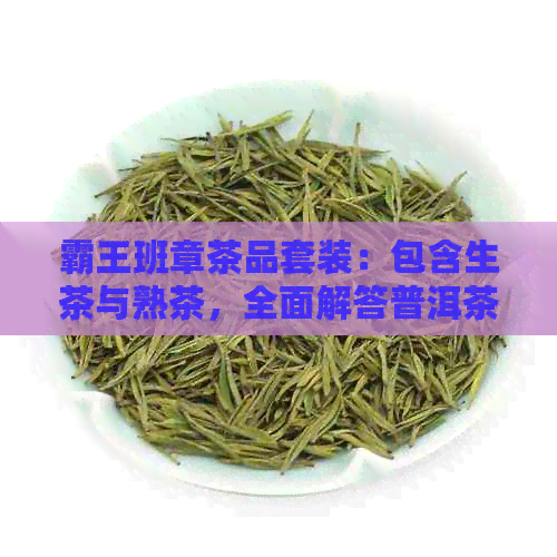 霸王班章茶品套装：包含生茶与熟茶，全面解答普洱茶选择和品饮疑问