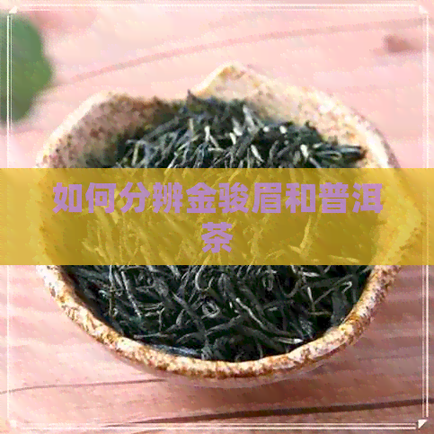 如何分辨金骏眉和普洱茶