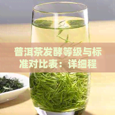 普洱茶发酵等级与标准对比表：详细程度分类解读