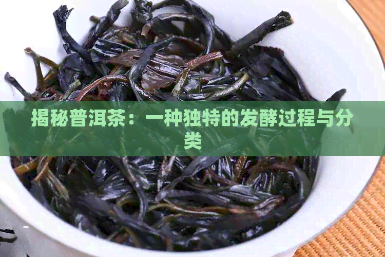 揭秘普洱茶：一种独特的发酵过程与分类