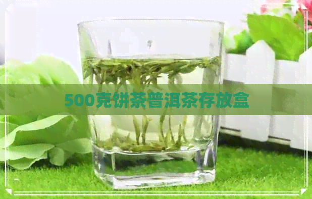 500克饼茶普洱茶存放盒