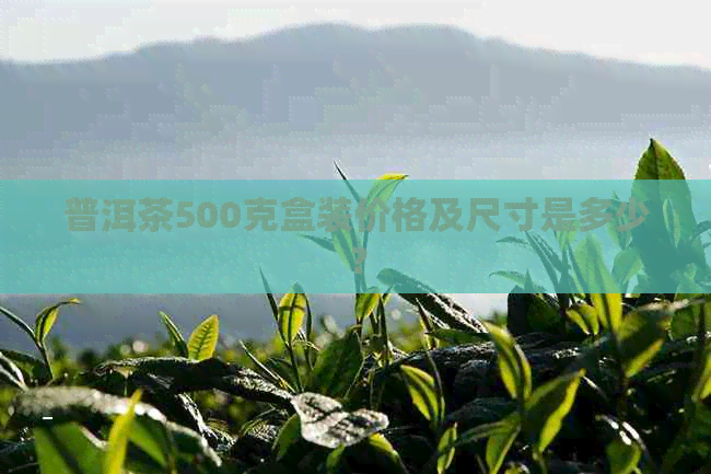 普洱茶500克盒装价格及尺寸是多少？