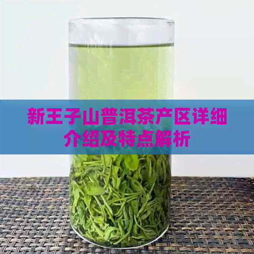 新王子山普洱茶产区详细介绍及特点解析