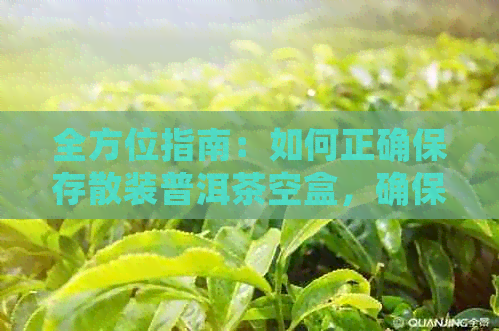 全方位指南：如何正确保存散装普洱茶空盒，确保其品质与口感