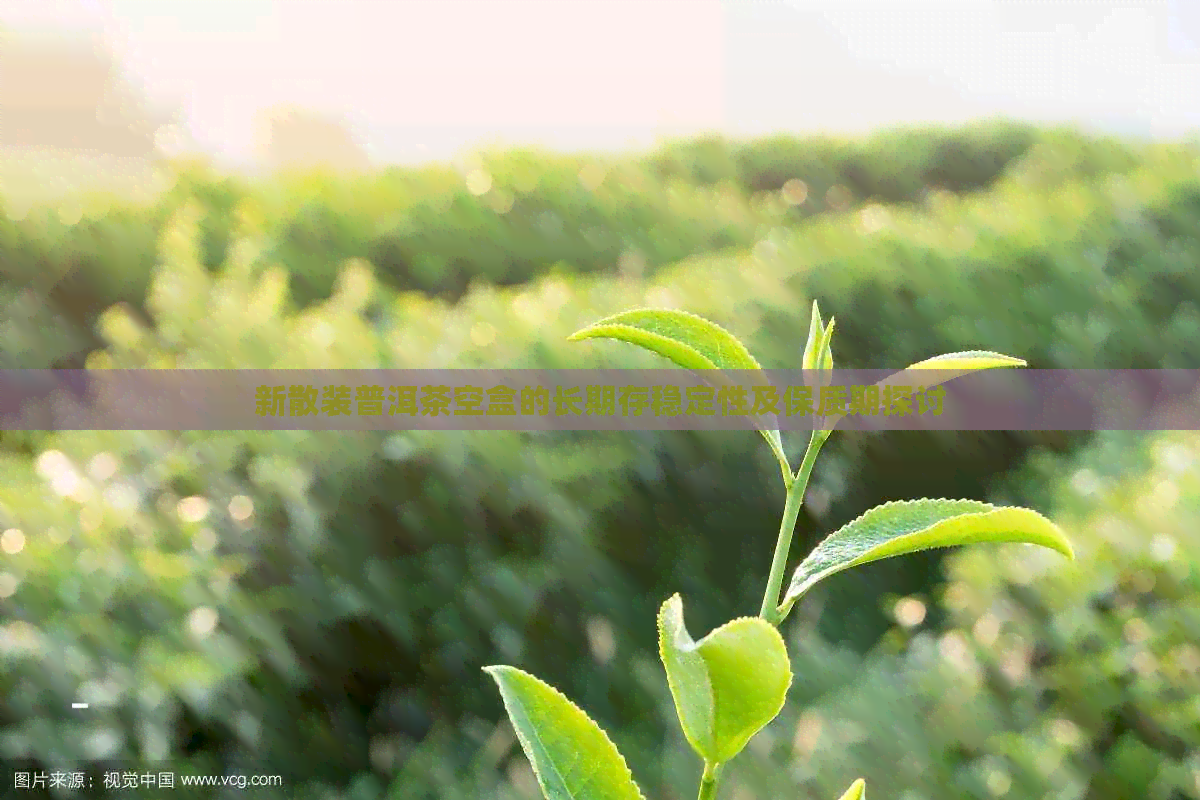 新散装普洱茶空盒的长期存稳定性及保质期探讨