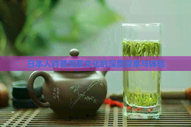 人对普洱茶文化的深度探索与体验