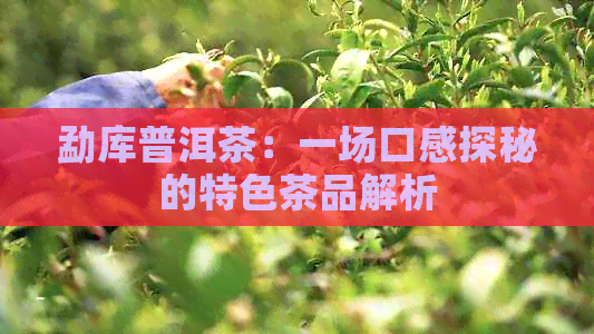 勐库普洱茶：一场口感探秘的特色茶品解析