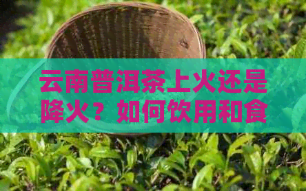 云南普洱茶上火还是降火？如何饮用和食用，以及其功效