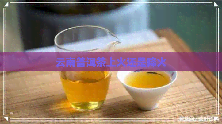 云南普洱茶上火还是降火