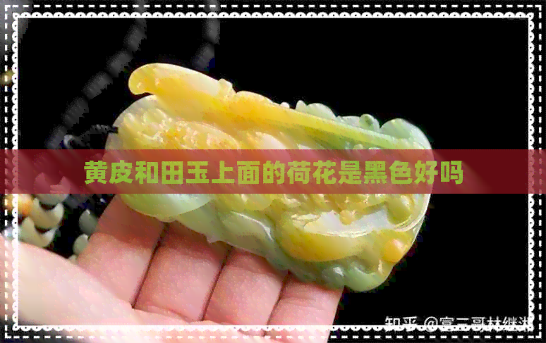 黄皮和田玉上面的荷花是黑色好吗