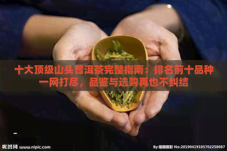 十大顶级山头普洱茶完整指南：排名前十品种一网打尽，品鉴与选购再也不纠结