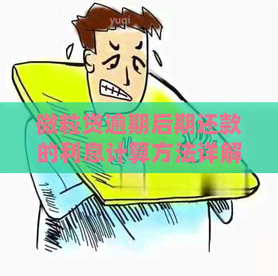 微粒贷逾期后期还款的利息计算方法详解