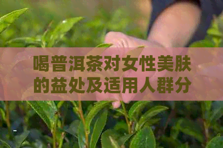 喝普洱茶对女性美肤的益处及适用人群分析