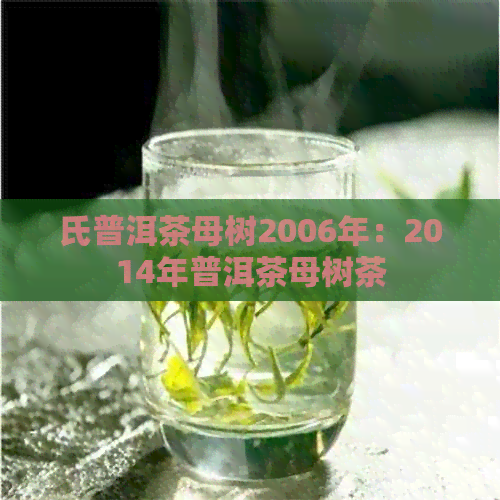 氏普洱茶母树2006年：2014年普洱茶母树茶