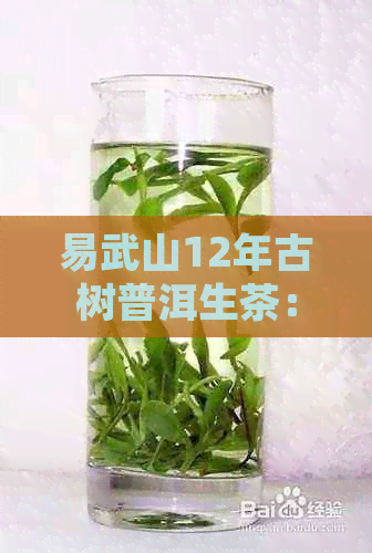 易武山12年古树普洱生茶：醇厚口感，历沉淀的品质之选