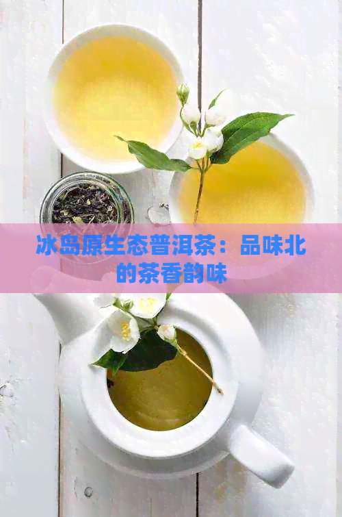 冰岛原生态普洱茶：品味北的茶香韵味