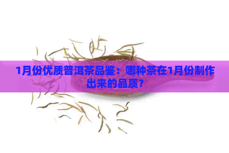 1月份优质普洱茶品鉴：哪种茶在1月份制作出来的品质？