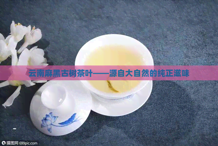 云南麻黑古树茶叶——源自大自然的纯正滋味