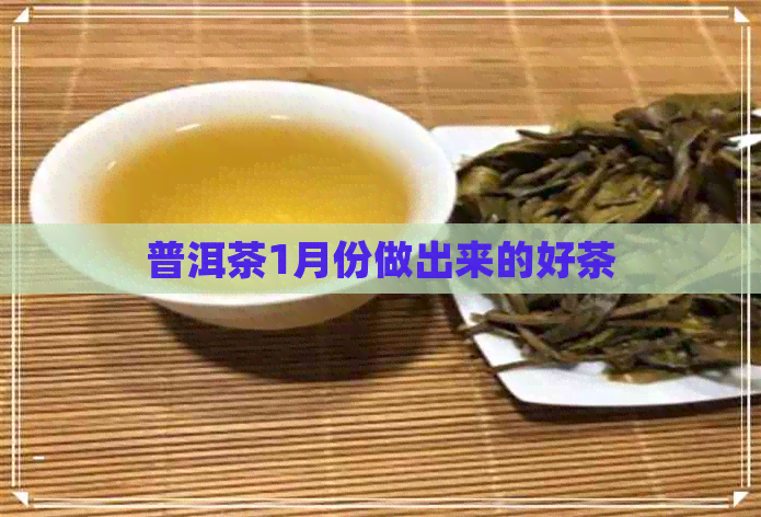 普洱茶1月份做出来的好茶