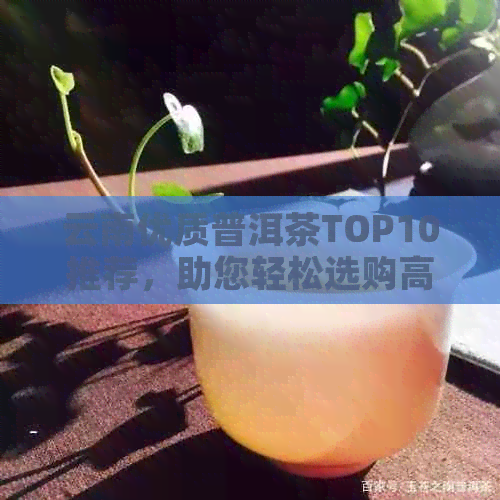 云南优质普洱茶TOP10推荐，助您轻松选购高品质茶叶