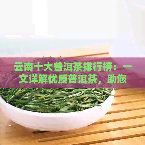 云南十大普洱茶排行榜：一文详解优质普洱茶，助您轻松选购与品鉴