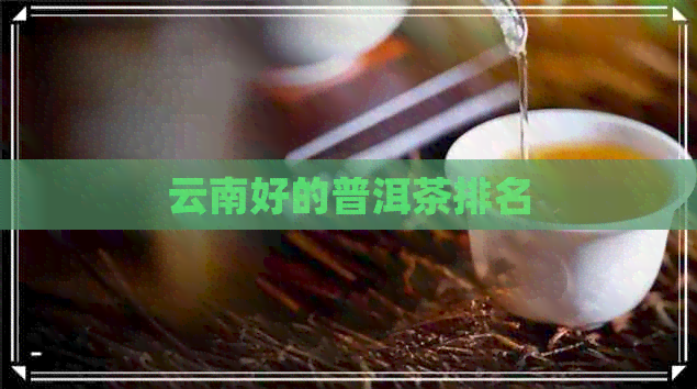 云南好的普洱茶排名