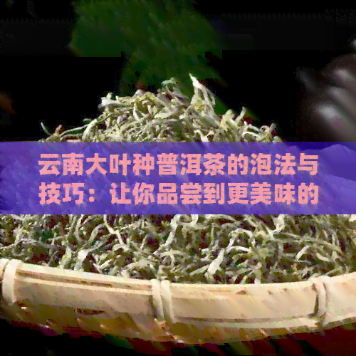 云南大叶种普洱茶的泡法与技巧：让你品尝到更美味的茶