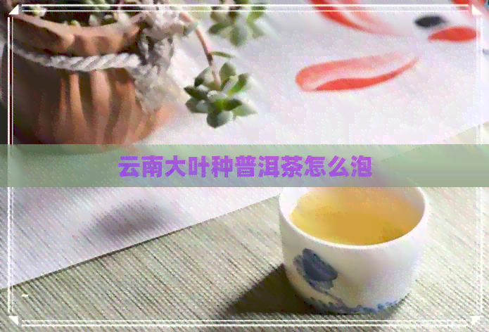 云南大叶种普洱茶怎么泡