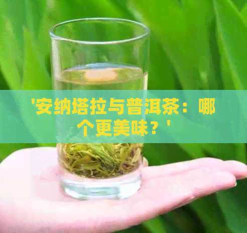 '安纳塔拉与普洱茶：哪个更美味？'