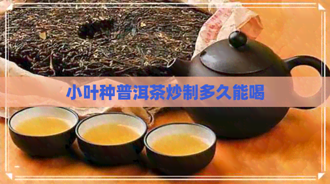 小叶种普洱茶炒制多久能喝