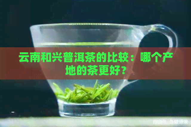 云南和兴普洱茶的比较：哪个产地的茶更好？