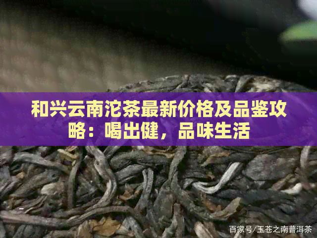 和兴云南沱茶最新价格及品鉴攻略：喝出健，品味生活