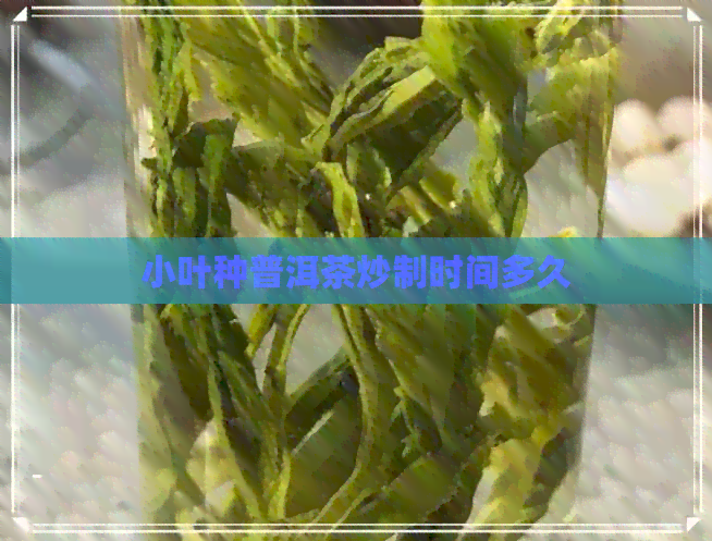 小叶种普洱茶炒制时间多久